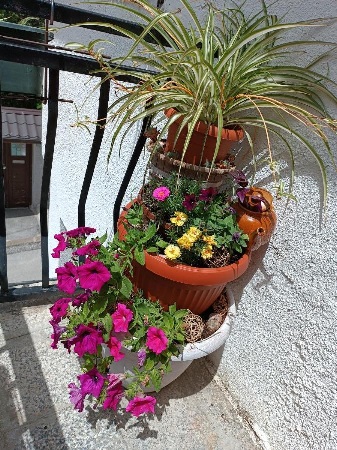 Apartman Ohren SJJ Exterior foto